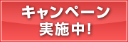 キャンペーン実施中