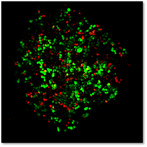 3D解析処理能力2