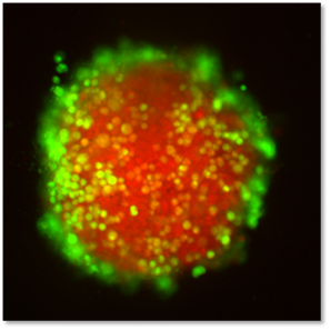 3D解析処理能力3