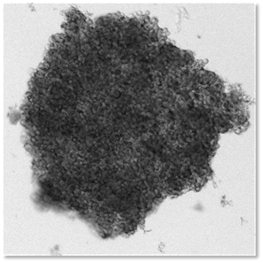 3D解析処理能力4