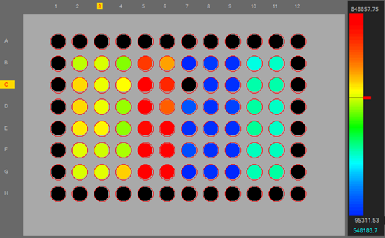 スフェロイド面積とサイズ解析