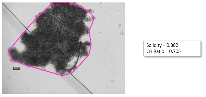 Convex Hull Ratio解析